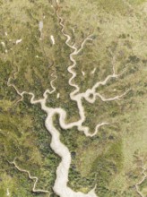 Abstract patterns of dry streams at low tide. In the marshland of the Bahía de Cádiz Nature Reserve