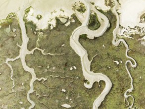 Abstract patterns of dry streams at low tide. In the marshland of the Bahía de Cádiz Nature Reserve