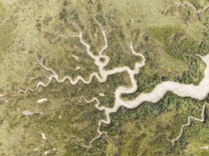 Abstract patterns of dry streams at low tide. In the marshland of the Bahía de Cádiz Nature Reserve