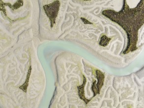 Network of channels and streams at low tide. In the marshland of the Bahía de Cádiz Nature Reserve.