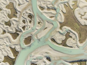 Network of channels and streams at low tide. In the marshland of the Bahía de Cádiz Nature Reserve.