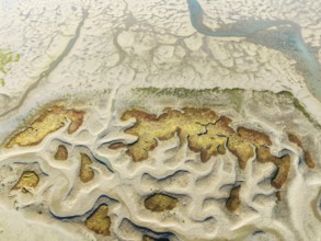Network of channels and streams at low tide. In the marshland of the Bahía de Cádiz Nature Reserve.