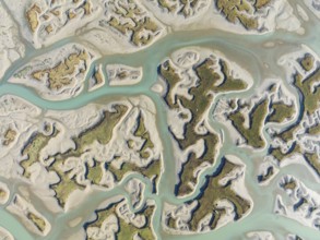 Network of channels and streams at low tide. In the marshland of the Bahía de Cádiz Nature Reserve.