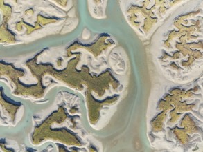 Network of channels and streams at low tide. In the marshland of the Bahía de Cádiz Nature Reserve.