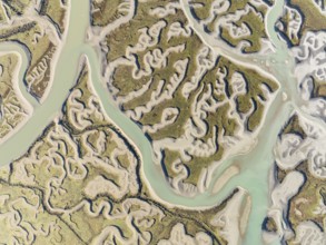 Network of channels and streams at low tide. In the marshland of the Bahía de Cádiz Nature Reserve.