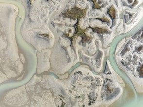 Network of channels and streams at low tide. In the marshland of the Bahía de Cádiz Nature Reserve.