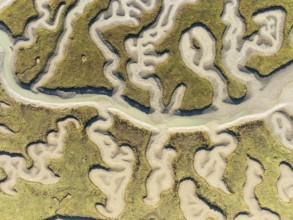 Network of channels and streams at low tide. In the marshland of the Bahía de Cádiz Nature Reserve.