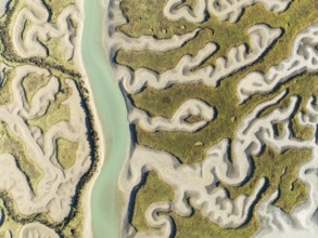 Network of channels and streams at low tide. In the marshland of the Bahía de Cádiz Nature Reserve.