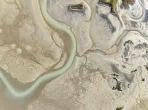 Network of channels and streams at low tide. In the marshland of the Bahía de Cádiz Nature Reserve.