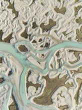 Network of channels and streams at low tide. In the marshland of the Bahía de Cádiz Nature Reserve.