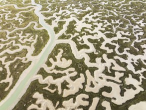 Network of channels and streams at low tide. In the marshland of the Bahía de Cádiz Nature Reserve.