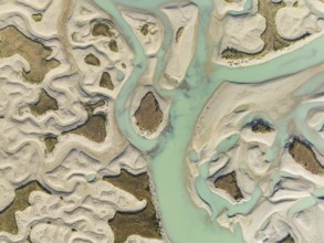 Network of channels and streams at low tide. In the marshland of the Bahía de Cádiz Nature Reserve.