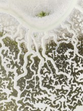 Network of dry channels and streams at low tide. In the marshland of the Bahía de Cádiz Nature