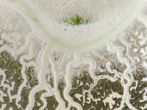 Network of dry channels and streams at low tide. In the marshland of the Bahía de Cádiz Nature