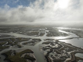 Network of channels and streams at low tide. In the marshland of the Bahía de Cádiz Nature Reserve.