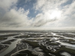 Network of channels and streams at low tide. In the marshland of the Bahía de Cádiz Nature Reserve.