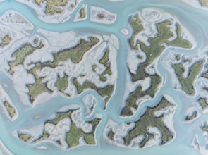 Network of channels and streams at low tide. In the marshland of the Bahía de Cádiz Nature Reserve.