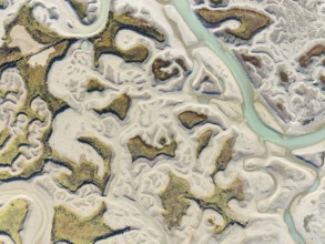 Network of channels and streams at low tide. In the marshland of the Bahía de Cádiz Nature Reserve.