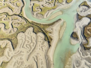 Network of channels and streams at low tide. In the marshland of the Bahía de Cádiz Nature Reserve.