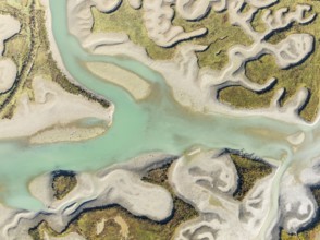 Network of channels and streams at low tide. In the marshland of the Bahía de Cádiz Nature Reserve.