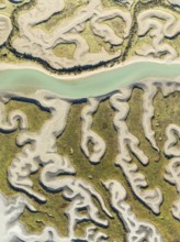 Network of channels and streams at low tide. In the marshland of the Bahía de Cádiz Nature Reserve.