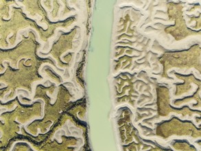 Network of channels and streams at low tide. In the marshland of the Bahía de Cádiz Nature Reserve.
