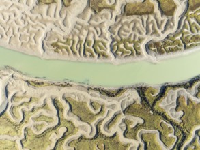 Network of channels and streams at low tide. In the marshland of the Bahía de Cádiz Nature Reserve.