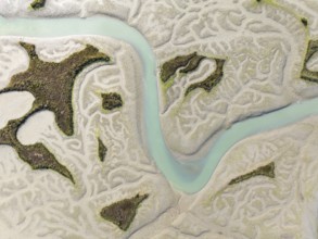 Network of channels and streams at low tide. In the marshland of the Bahía de Cádiz Nature Reserve.