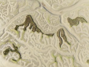 Network of dry channels and streams at low tide. In the marshland of the Bahía de Cádiz Nature