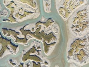 Network of channels and streams at low tide. In the marshland of the Bahía de Cádiz Nature Reserve.