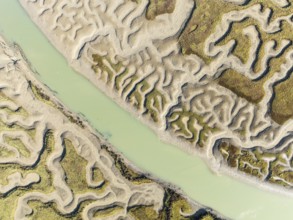 Network of channels and streams at low tide. In the marshland of the Bahía de Cádiz Nature Reserve.