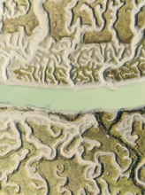Network of channels and streams at low tide. In the marshland of the Bahía de Cádiz Nature Reserve.