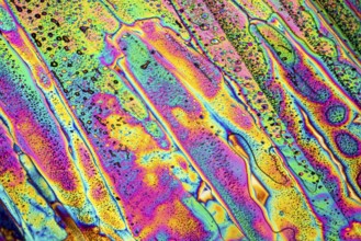 Colorful microscopic shot of Sodium acetate micro crystals in polarized light