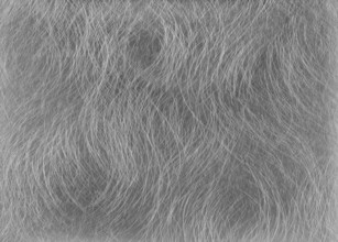 A full frame abstract wavy lined background
