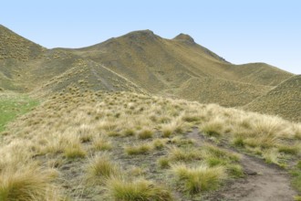 Impression around the Lindis Pass at the South Island of New Zealand