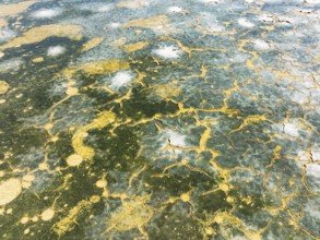 Abstract patterns in the shallow water of a saline pond in the marshland of the Bahía de Cádiz