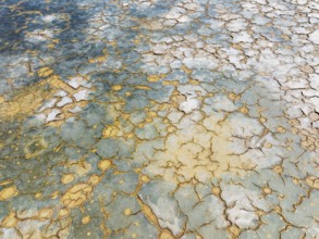 Abstract patterns in the shallow water of a saline pond in the marshland of the Bahía de Cádiz