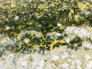 Abstract patterns in the shallow water of a saline pond in the marshland of the Bahía de Cádiz