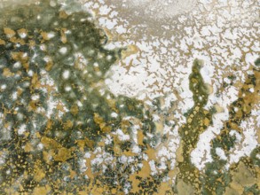 Abstract patterns in the shallow water of a saline pond in the marshland of the Bahía de Cádiz