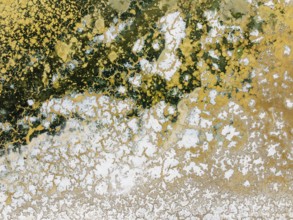 Abstract patterns in the shallow water of a saline pond in the marshland of the Bahía de Cádiz