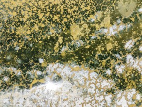 Abstract patterns in the shallow water of a saline pond in the marshland of the Bahía de Cádiz