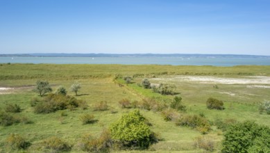 Sunny impression around Podersdorf am See at Lake Neusiedl in Burgenland in Austria