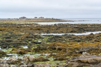 Coastal scenery around Penmarch in the Finistere department of Brittany in France