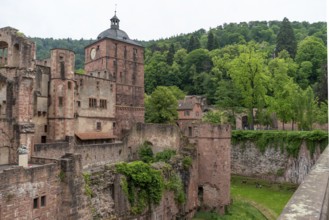 Detail of the Heidelberg castle in Germany