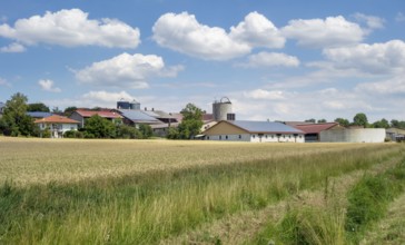 Agricultural scenery around a small village in Hohenlohe, an area in southern Germany at summer