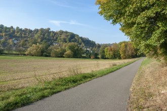 Idyllic rural cycle path in Hohenlohe at autumn time