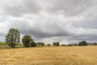 Stormy farmland scenery in Hohenlohe, an area in Southern Germany at late summer time