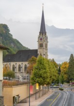 Impression of Vaduz, the capital city of Liechtenstein at autumn time