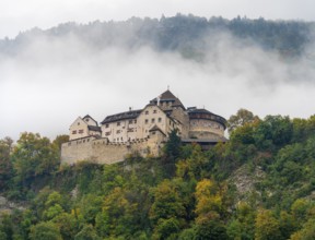 Vaduz Castle in Vaduz, the capital city of Liechtenstein at autumn time