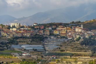 High angle view showing settlement around Bussana Vecchia, a former ghost town of the Liguria